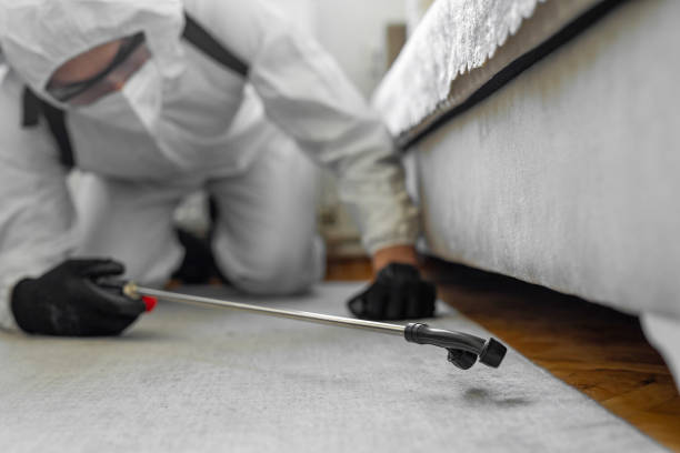 Professional Bed Bug Control technician working in Janesville, WI