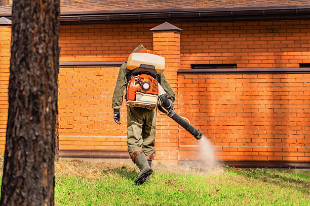 Trusted Cockroach Control service in Janesville, WI - Nex Pest Control